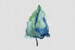 Aquarelle lotus flowers PNG set Product Image 5