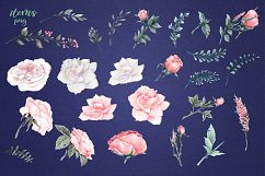 Delicate Roses Watercolor Clip Art Product Image 11