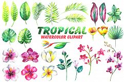 Tropical watercolor clipart Product Image 2