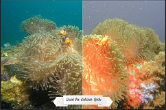 Dive Fix &amp; HDR LUTs Product Image 3