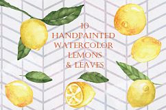 Summer Bundle - watercolor illustrations Product Image 3