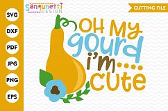 Oh my gourd SVG, Fall svg, Thanksgiving svg Product Image 1