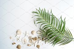 Summer Photo Bundle - Seashells Product Image 10