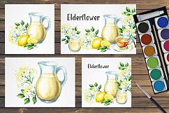 Elderflower. Watercolor collection Product Image 6