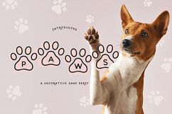 Paws Product Image 1