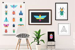 Bugs and insects collection  Product Image 3