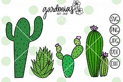 Succulent Bundle Product Image 1