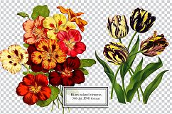 Vintage Flower Illustrations - Vol 1 Product Image 6
