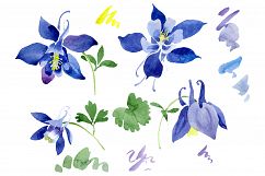 Flowers set PNG watercolor   Product Image 1