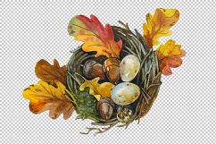 Bird's Nest PNG watercolor set   Product Image 2