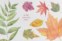 Autumn leaf fall. Watercolor. Product Image 2