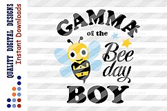 Birthday Boy svg Gamma of the BEE day Boy SVG files Grandma Product Image 2