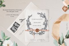 Ink calligraphy illustrations. Floral. Florigraphy Elegant. Product Image 1