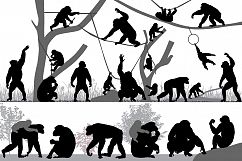 Family of chimpanzee Product Image 1