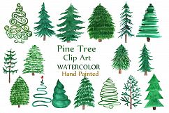 Watercolor Pine Trees Clipart Product Image 1