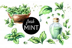 Fresh mint Product Image 1