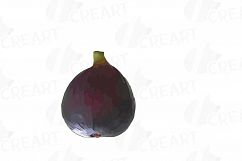 Watercolor Fig clip art pack,common fig leaves, fig fruit Product Image 19