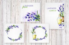 LAVENDER. Watercolor collection Product Image 7