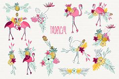 Tropical Product Image 7