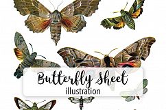 Butterfly - Insects - Vintage Bugs - Butterflies Product Image 1
