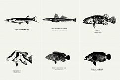 Premium Fishes Illustrations Product Image 10