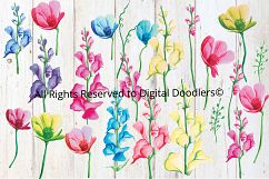 Snapdragons &amp; Anemones Product Image 2