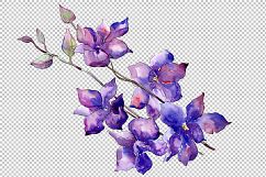 Bouquet of purple flowers PNG watercolor set Product Image 2