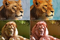 Felines Lr Presets Product Image 4