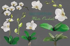 Watercolor white orchids clip art, Orchid leaves and flowers Product Image 2
