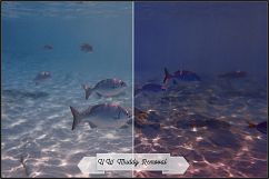 Underwater Fix Profiles for LR 7.3 &amp; ACR 10.3 Product Image 9