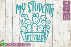 My Students are Sharp Teacher Cactus Themed SVG Product Image 2