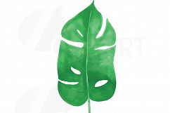 Palm leaves watercolor clip art pack, tropical leafs collection. Png, jpg, svg, vector illustrator &amp; corel files included, instant download Product Image 3