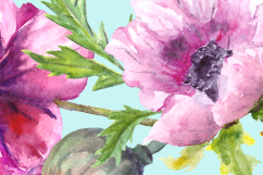 Watercolor Summer Poppies Clip Art - Bonus Wreath and Border Product Image 2