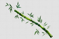 Exotic bamboo PNG watercolor set Product Image 5