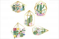 Hand Drawn Watercolor Terrarium Clipart Product Image 3