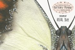 The Butterfly Meadow Product Image 10