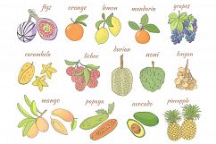 Sketch of tropical fruits. Product Image 2