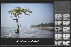 AGFA B&amp;W Films Profiles LR 7.3 ACR 10.3 Product Image 2