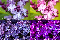 Lilac Lr Presets Product Image 5