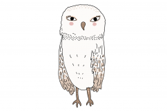 Wacky Owls | 10 images | Clip art illustrations | PNG/JPEG Product Image 9