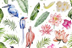 Hand Drawn watercolor TROPICS 2 Product Image 3