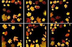 Falling Leaves PNG Overlays Product Image 4