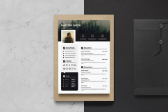 resume Product Image 1