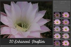 Incredible Flowers Profiles LR7.3 ACR10.3 Product Image 2
