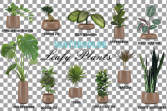 Leafy plants clip art collection, Watercolor plants in pot Product Image 2