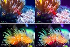 Barrier Reef Lr Presets Product Image 5