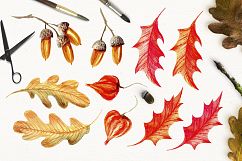 Woodland Fall Watercolor Clipart Product Image 5