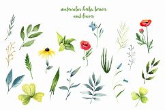 WATERCOLOR herbs, leaves, poppy, wild flowers Product Image 3