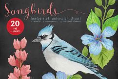 Song Birds Watercolor Clipart Product Image 4