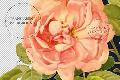 Belle Rose Antique Graphics Bundle Product Image 3